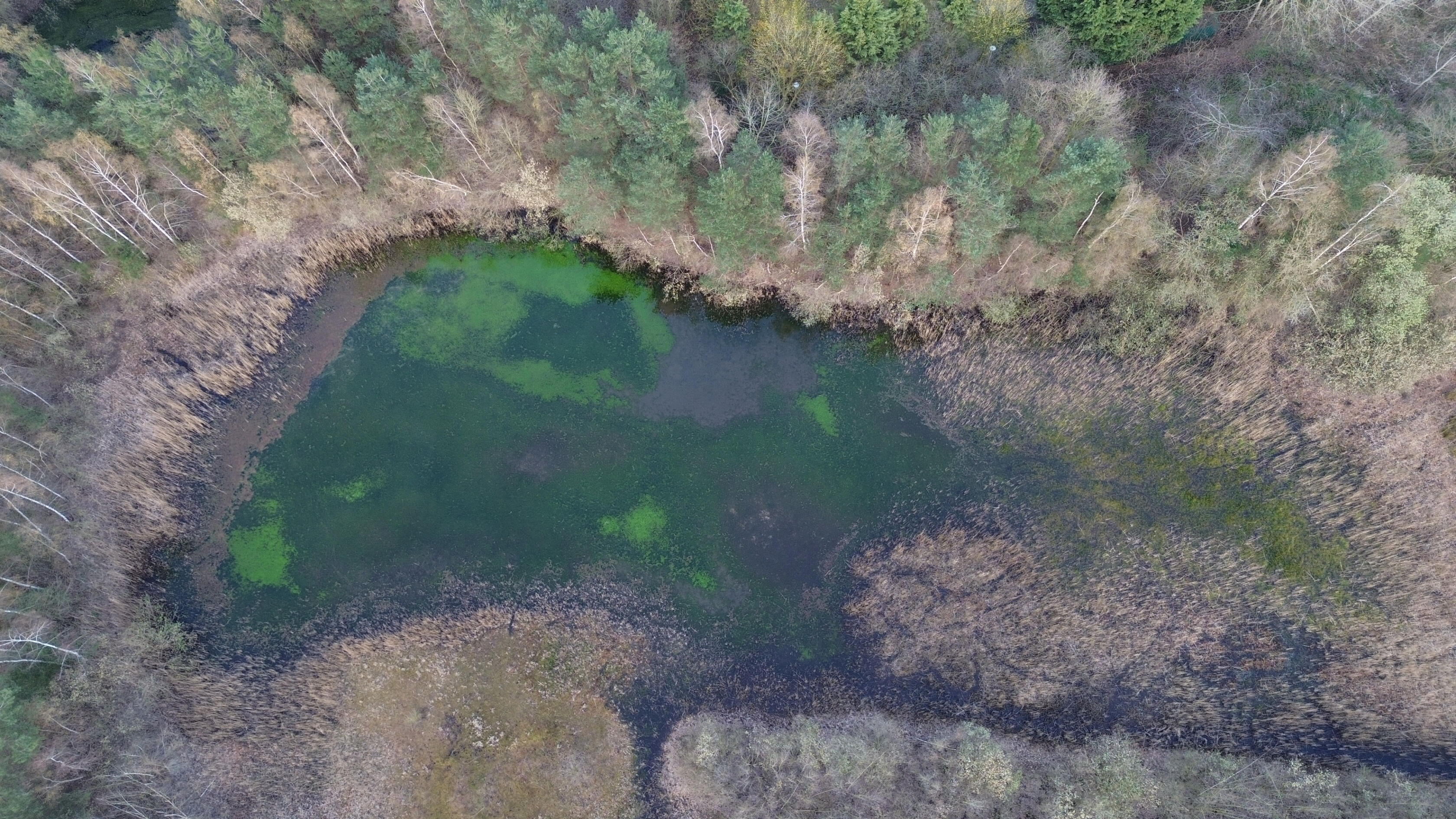 Sri Lanka Project Sunrise Aftermovie Thumbnail picture of nine arches bridge in ella sri lanka aftermovie flamingo moments